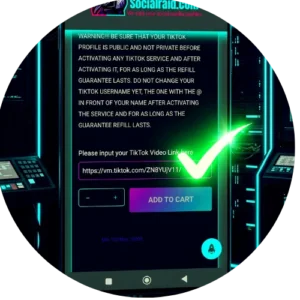 A mobile checkout screen showing public TikTok video link entry without password fields.